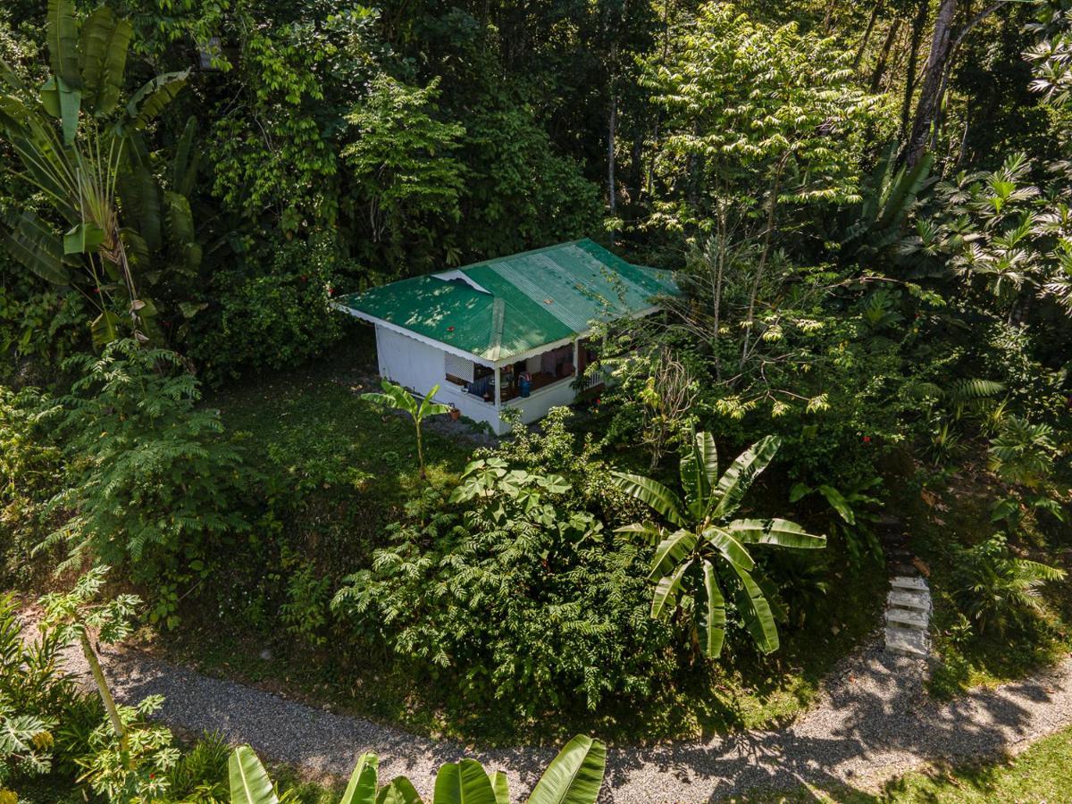 Puerto Viejo de Talamanca Colina Secreta - Glamping And Villas מראה חיצוני תמונה