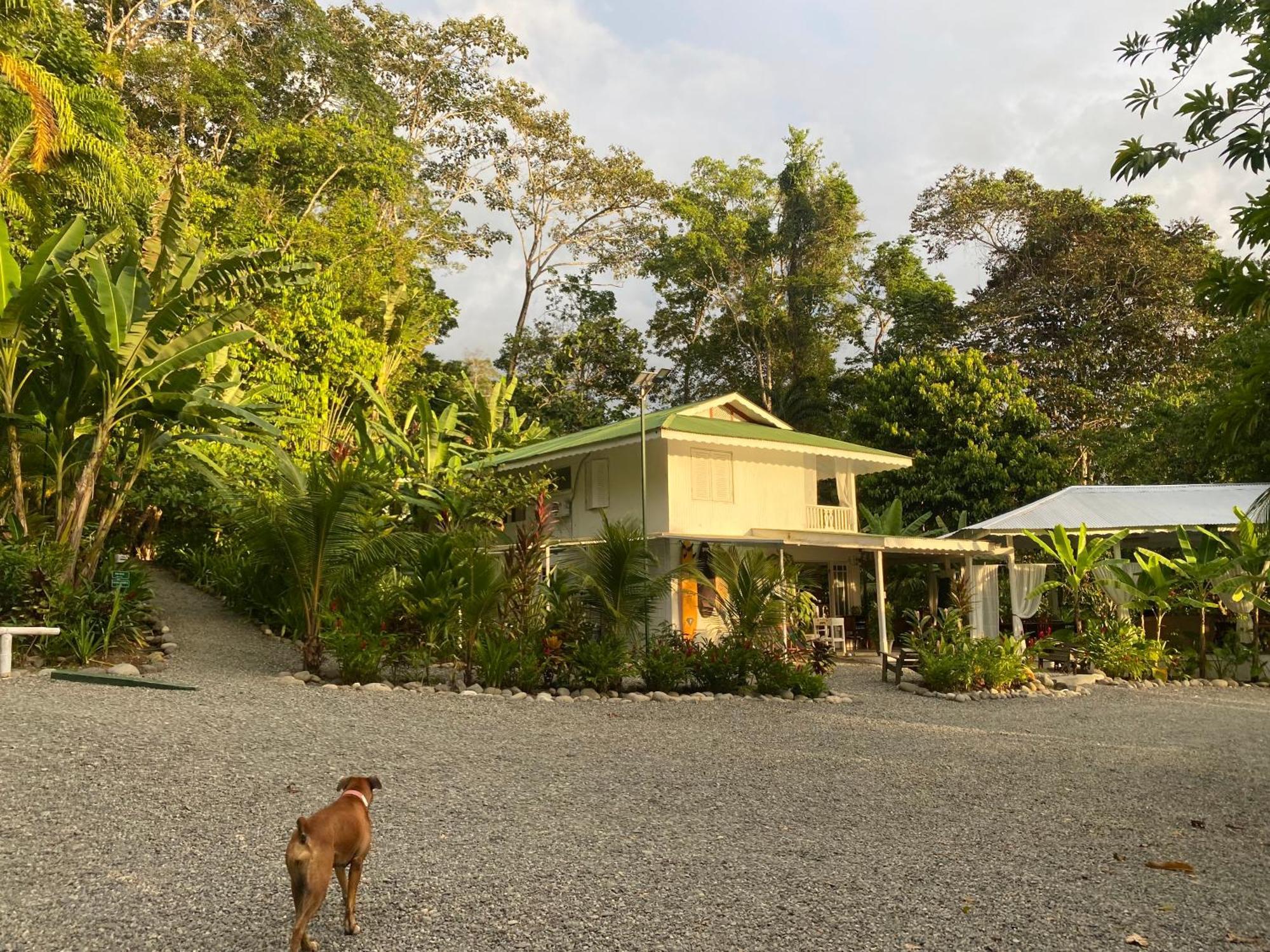 Puerto Viejo de Talamanca Colina Secreta - Glamping And Villas מראה חיצוני תמונה