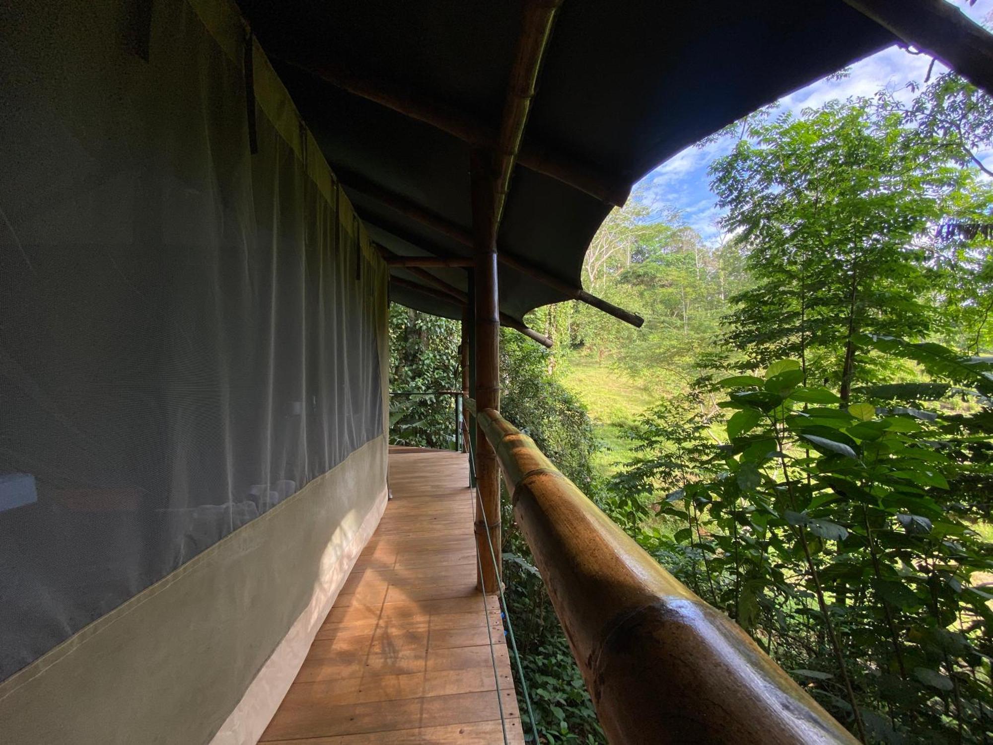 Puerto Viejo de Talamanca Colina Secreta - Glamping And Villas מראה חיצוני תמונה